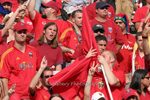 img_8416