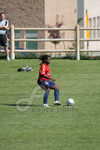 IMG_0349